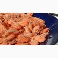 Черноморская креветка (продаю оптовым базам) - <ro>Изображение</ro><ru>Изображение</ru> #1, <ru>Объявление</ru> #1647257