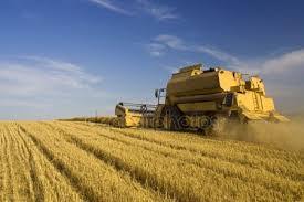 Фермери України - <ro>Изображение</ro><ru>Изображение</ru> #1, <ru>Объявление</ru> #154479