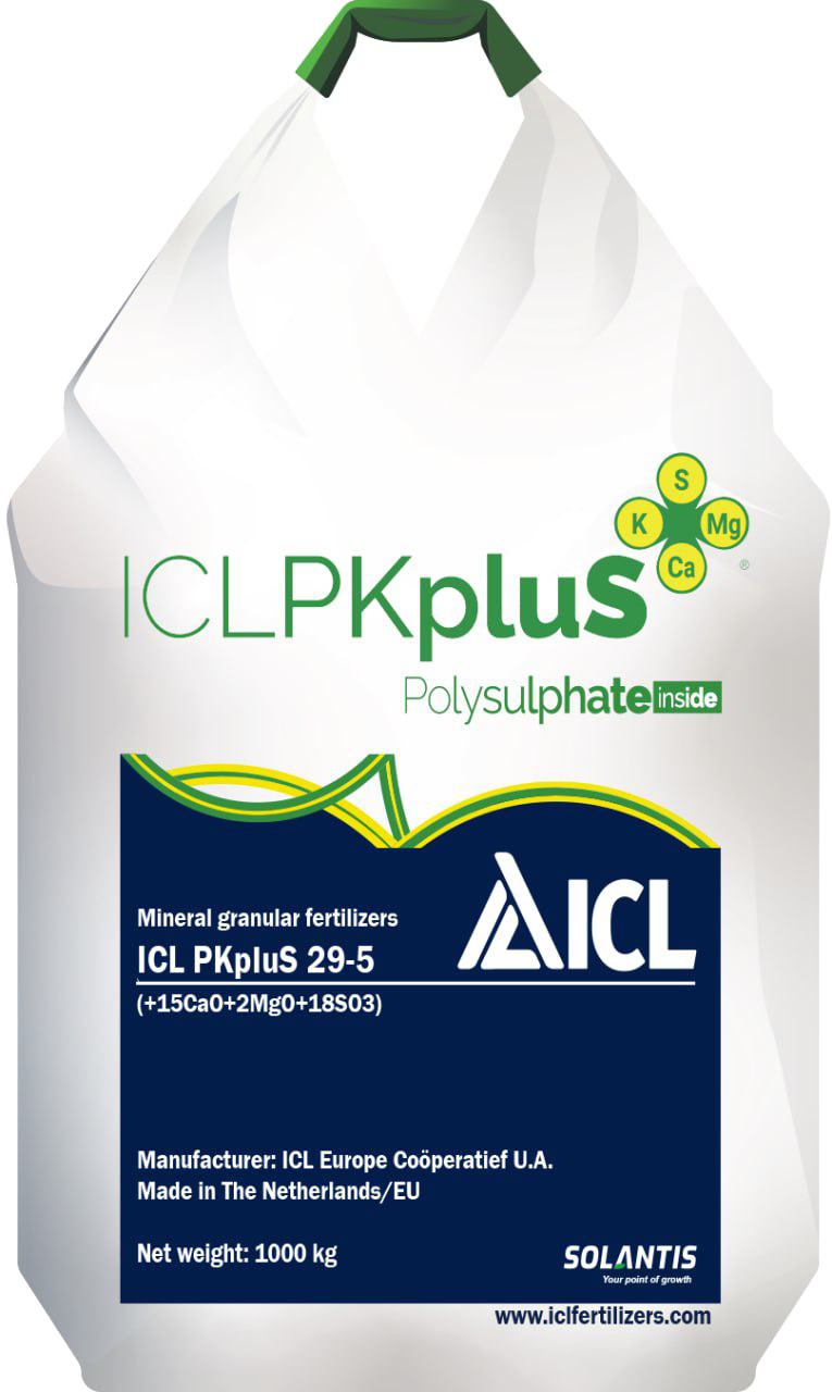 ICL PKpluS 29-5 (+2MgO+21CaO+18SO3) ||| Агро центр «B&S Product»  - <ro>Изображение</ro><ru>Изображение</ru> #1, <ru>Объявление</ru> #1705873