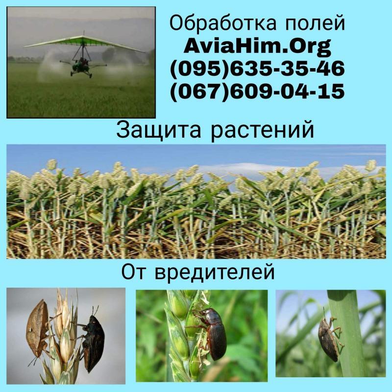 Авиахимическая обработка полей, Украина - <ro>Изображение</ro><ru>Изображение</ru> #1, <ru>Объявление</ru> #1708650