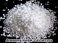 Аммиачная селитра N-34.4% (NH4NO3) Нитрат аммония ДнепроАзот - <ro>Изображение</ro><ru>Изображение</ru> #1, <ru>Объявление</ru> #1714738