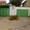 Продам дом в Центре херсона - <ro>Изображение</ro><ru>Изображение</ru> #3, <ru>Объявление</ru> #3797