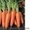 Продам картофель, свеклу, морковь #75473