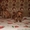 Продаю щенков породы Английский кокер спаниель - <ro>Изображение</ro><ru>Изображение</ru> #2, <ru>Объявление</ru> #306097