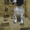 Продаю щенков русского спаниелей. - <ro>Изображение</ro><ru>Изображение</ru> #2, <ru>Объявление</ru> #473429