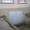 Продам дом в Белозерке - <ro>Изображение</ro><ru>Изображение</ru> #3, <ru>Объявление</ru> #499145