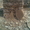 камень песчаник для облицовки - <ro>Изображение</ro><ru>Изображение</ru> #2, <ru>Объявление</ru> #521596