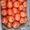 Отличные Херсонские томаты от производителя. #743092