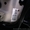 Сиденье водительское w211 - <ro>Изображение</ro><ru>Изображение</ru> #6, <ru>Объявление</ru> #862977