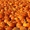Продам кабак свежий ( тыква вида обыкновенная Cucurbita pepo ) #971125