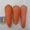 Морковь абака, опт,  цена договорная  #981265