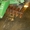 John Deere 630 борона дисковая 6,5 м - <ro>Изображение</ro><ru>Изображение</ru> #4, <ru>Объявление</ru> #982717