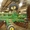 John Deere 630 борона дисковая 6,5 м - <ro>Изображение</ro><ru>Изображение</ru> #5, <ru>Объявление</ru> #982717