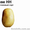 Высокотоварный картофель Агаве