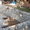 Блоки для бассейнов Херсон Шлакоблок для фундамента - <ro>Изображение</ro><ru>Изображение</ru> #2, <ru>Объявление</ru> #1247227