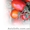 Семена томата KS 720 F1 фирмы Китано - <ro>Изображение</ro><ru>Изображение</ru> #2, <ru>Объявление</ru> #1277203