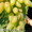 Продам саженцы винограда: Тимур, Ризамат, Подарок Запорожью, Кеша-1( Талисман),  - <ro>Изображение</ro><ru>Изображение</ru> #6, <ru>Объявление</ru> #1364902