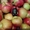 Плодоносящий яблоневый сад в Крыму. Продам - <ro>Изображение</ro><ru>Изображение</ru> #4, <ru>Объявление</ru> #1481191