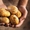 Оптовая продажа картофеля от ТОВ Компании 
