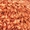 Креветка черноморская свежий вылов #1647255