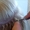 Курсы наращивания волос в УЦ «Твой Успех» Херсон. Таврический #1654526
