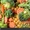 Оптовая продажа продуктов питания в Херсоне и области - <ro>Изображение</ro><ru>Изображение</ru> #4, <ru>Объявление</ru> #1664301