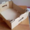 Ящики для Персика.Купить ящик под персик  - <ro>Изображение</ro><ru>Изображение</ru> #1, <ru>Объявление</ru> #1678561