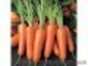 Продам картофель,свеклу,морковь - <ro>Изображение</ro><ru>Изображение</ru> #1, <ru>Объявление</ru> #75473