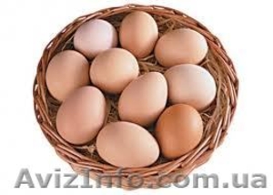 Яйцо куриное разных категорий - <ro>Изображение</ro><ru>Изображение</ru> #1, <ru>Объявление</ru> #93332