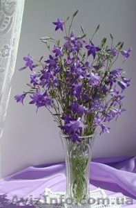 овсяная мука  - производитель!