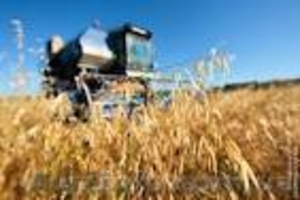 Собственные Базы данных сельхозпредприятий Украины - <ro>Изображение</ro><ru>Изображение</ru> #1, <ru>Объявление</ru> #671922
