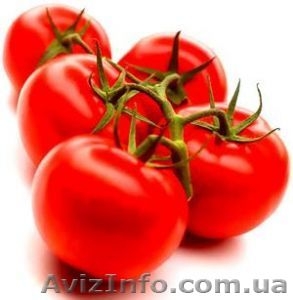 Продам томаты, помидоры оптом Херсон - <ro>Изображение</ro><ru>Изображение</ru> #1, <ru>Объявление</ru> #729360