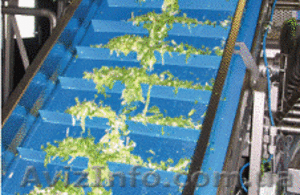 Сетчатые конвейерные ленты из полиэстера