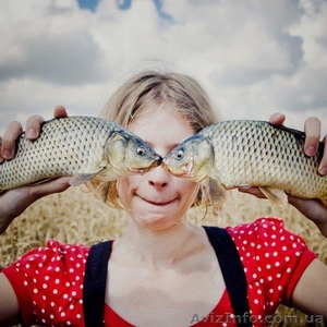 Куплю живую товарную рыбу. - <ro>Изображение</ro><ru>Изображение</ru> #1, <ru>Объявление</ru> #936979