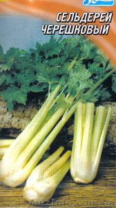 семена сельдерей черешковый