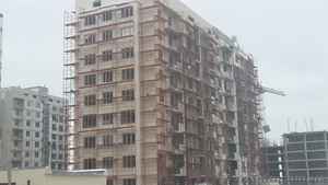 Леса типа «Евро»