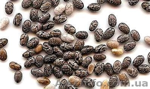 Семена Чиа здоровое питание