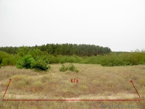 Срочно! Обменяю или продам земельный участок 4 га в лесу возле лимана - <ro>Изображение</ro><ru>Изображение</ru> #3, <ru>Объявление</ru> #1309524