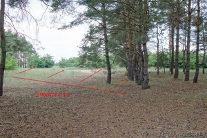 Срочно! Продам или обменяю участок 2+2  в лесу возле лимана - <ro>Изображение</ro><ru>Изображение</ru> #4, <ru>Объявление</ru> #1309526