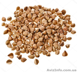Гречневая крупа оптом 