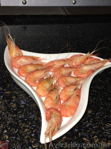 Сушеная черноморская креветка корм для рыб - <ro>Изображение</ro><ru>Изображение</ru> #1, <ru>Объявление</ru> #1604830