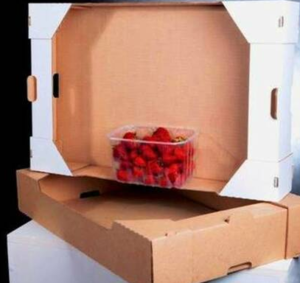 Ящик ягодный под клубнику,Клубничный лоток  - <ro>Изображение</ro><ru>Изображение</ru> #1, <ru>Объявление</ru> #1678562
