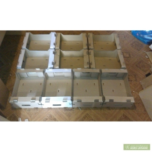 Купить картонный лоток под персик.Продам картонный лоток под персик 