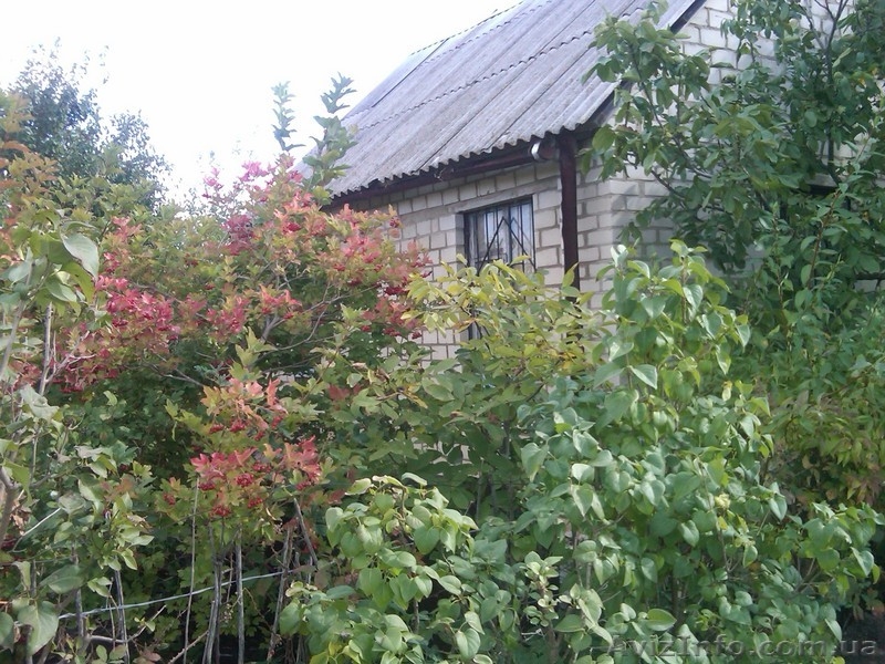 Дача, с. Ивановка, 6 соток, дом. - <ro>Изображение</ro><ru>Изображение</ru> #1, <ru>Объявление</ru> #88816