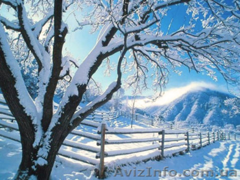 Искусственный снег - всегда праздничное настроение - <ro>Изображение</ro><ru>Изображение</ru> #3, <ru>Объявление</ru> #110637