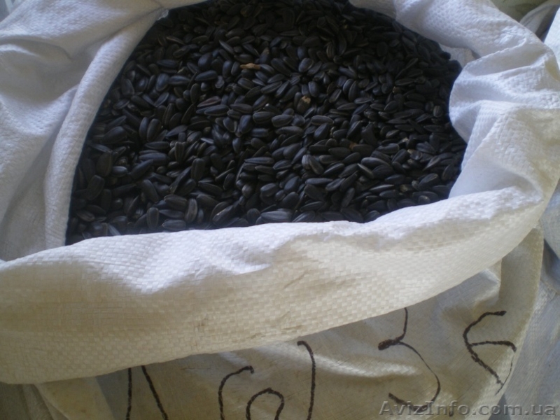 Продам семечку калиброванную - <ro>Изображение</ro><ru>Изображение</ru> #3, <ru>Объявление</ru> #210742