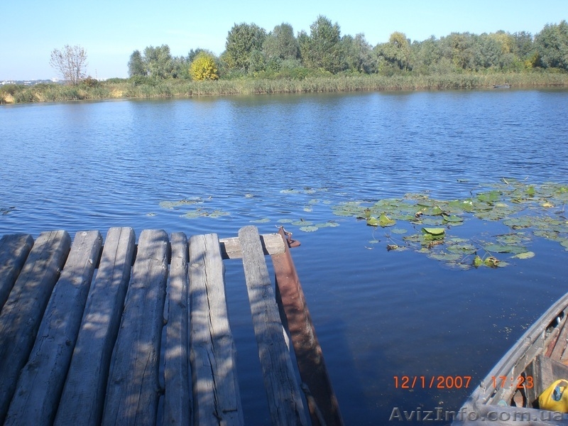 Продам дачу на Цюрупинской конке - <ro>Изображение</ro><ru>Изображение</ru> #4, <ru>Объявление</ru> #187267