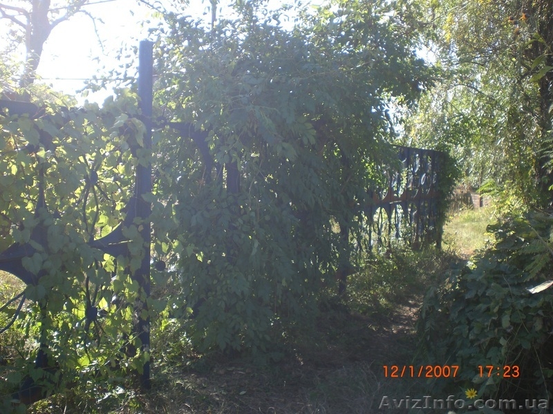 Продам дачу на Цюрупинской конке - <ro>Изображение</ro><ru>Изображение</ru> #3, <ru>Объявление</ru> #187267