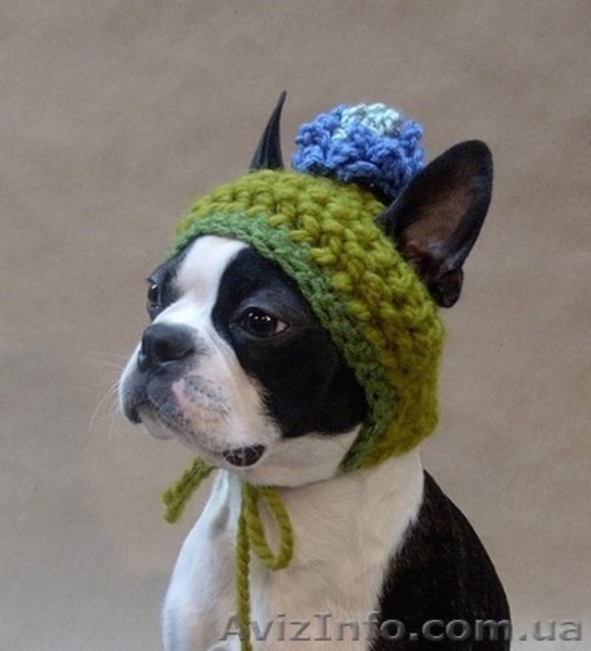 ВЯЗАЛЬНЫЕ МАШИНЫ ВЕРИТАС  &  VERITAS - <ro>Изображение</ro><ru>Изображение</ru> #8, <ru>Объявление</ru> #218617