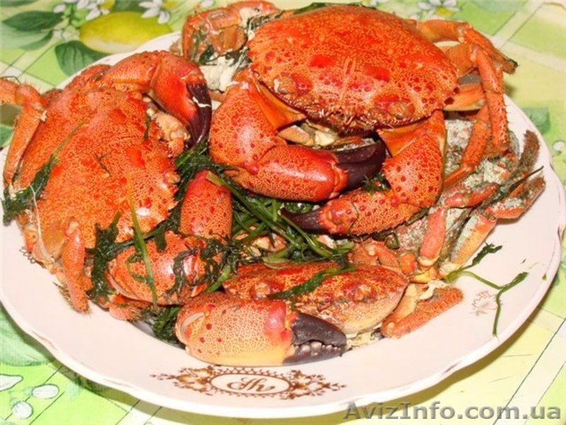 Постоянно закупаем оптом РАКОВ и рыбу - <ro>Изображение</ro><ru>Изображение</ru> #3, <ru>Объявление</ru> #240672